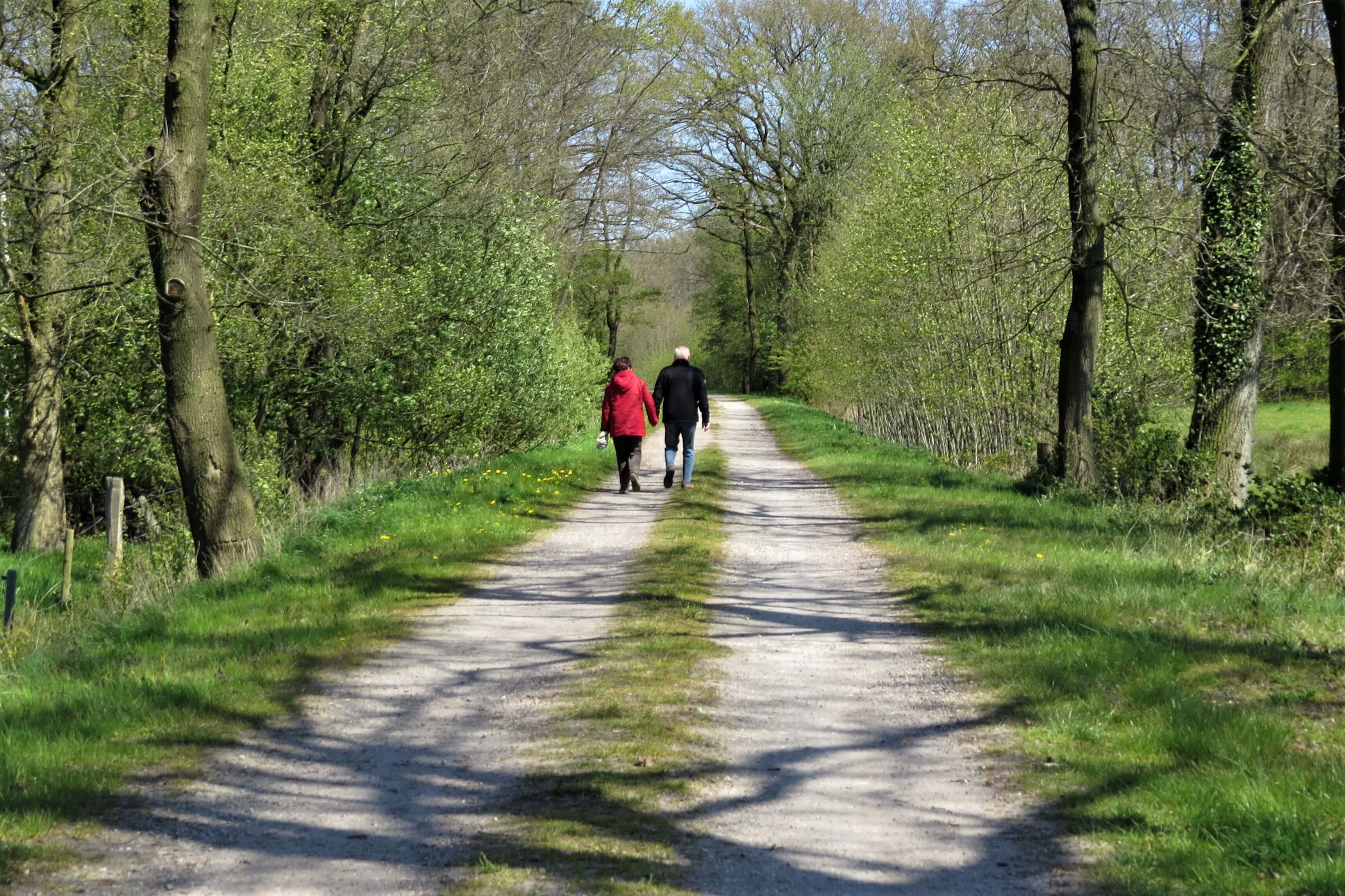 Ein Wanderpaar auf einem breiten Forstweg. Am Wegesrand sind grüne Wiesen und belaubte Bäume zu sehen.