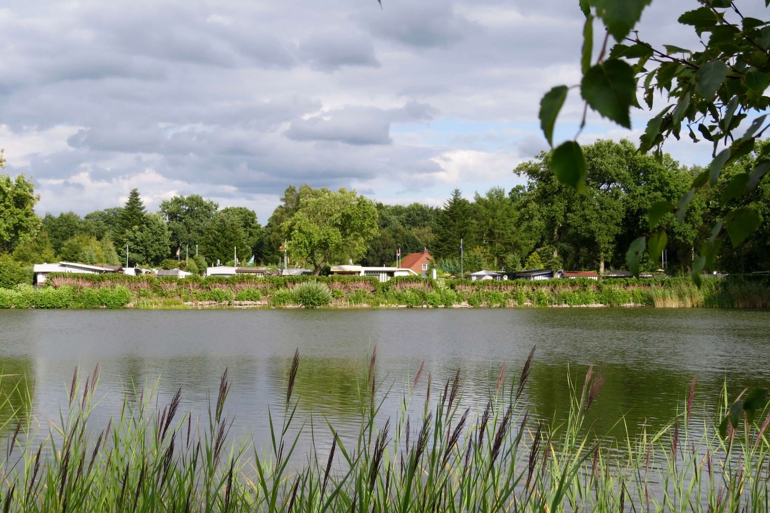 Vor einem sanft wellenden Gewässer liegt ein idyllischer Campingplatz, umrahmt von üppigem Grün.
