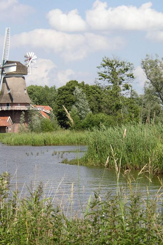 Das Foto zeigt eine Mühle in grüner landschaft mit einem Flussverlauf davor