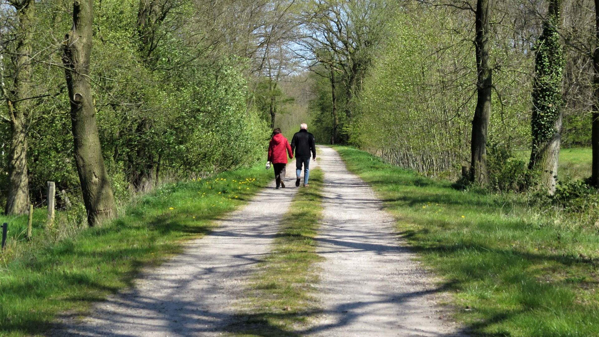 Ein Wanderpaar auf einem breiten Forstweg. Am Wegesrand sind grüne Wiesen und belaubte Bäume zu sehen.