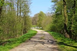 Ein breiter Forstweg mit einer Brücke im Verlauf des Weges. Am Wegesrand befinden sich belaubte Bäume und grüne Wiesen.