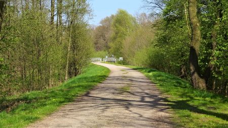 Ein breiter Forstweg mit einer Brücke im Verlauf des Weges. Am Wegesrand befinden sich belaubte Bäume und grüne Wiesen.