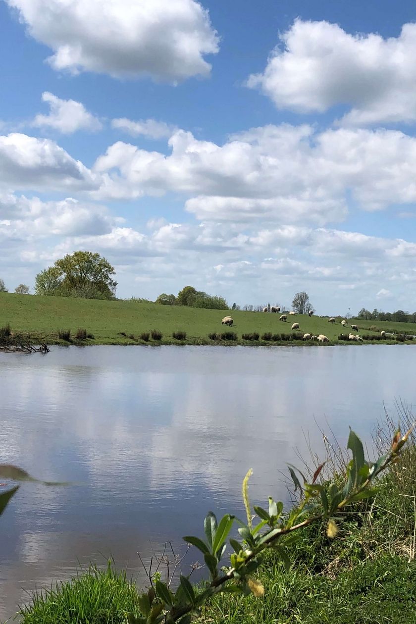 1 blauer Fluss zieht geschwungen seinen Weg durch grüne Landschaft mit Deichen