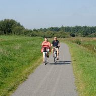 Das Foto zeigt ein Ehepaar von vorne, das auf Fahrrädern entlang des Deiches fährt.