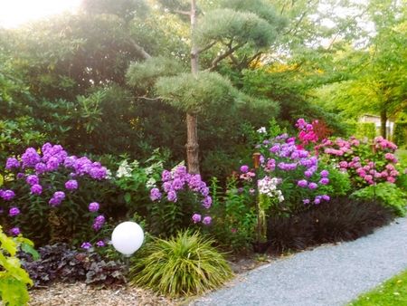 Ein bunter, blühender Garten mit violetten und pinken Blumen, gesäumt von einem Kiesweg und umgeben von sattem Grün.