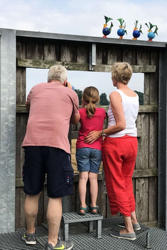 Eine Familie steht auf einer hölzernen Aussichtsplattform mit einem Fernrohr und beobachtet Vögel in einem Naturreservat. Auf dem Holzverschlag sitzen bunte Stahlvögel.