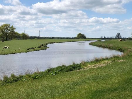 1 blauer Fluss zieht geschwungen seinen Weg durch grüne Landschaft mit Deichen