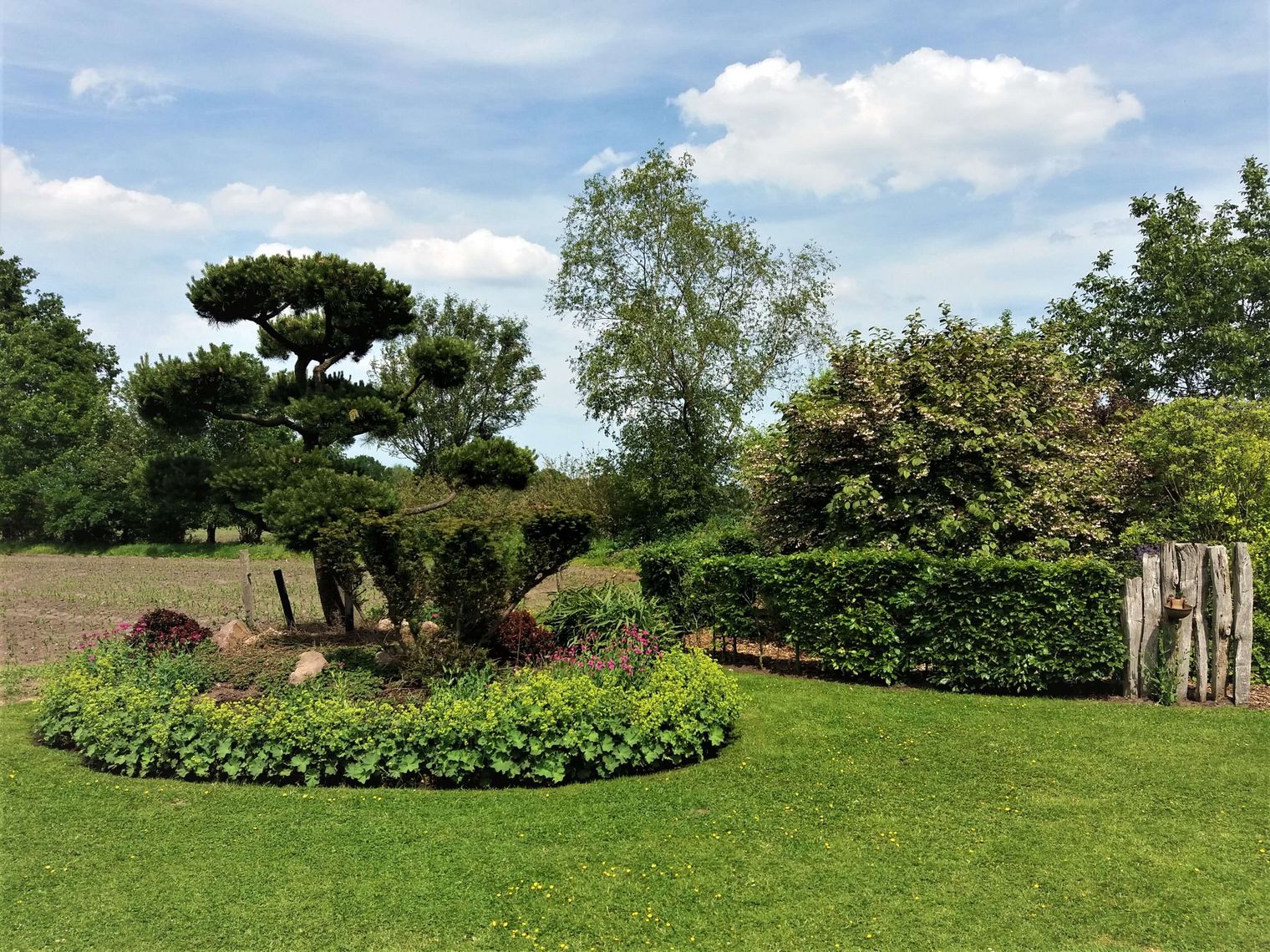 In einem grünen Garten stehen Planzeninseln