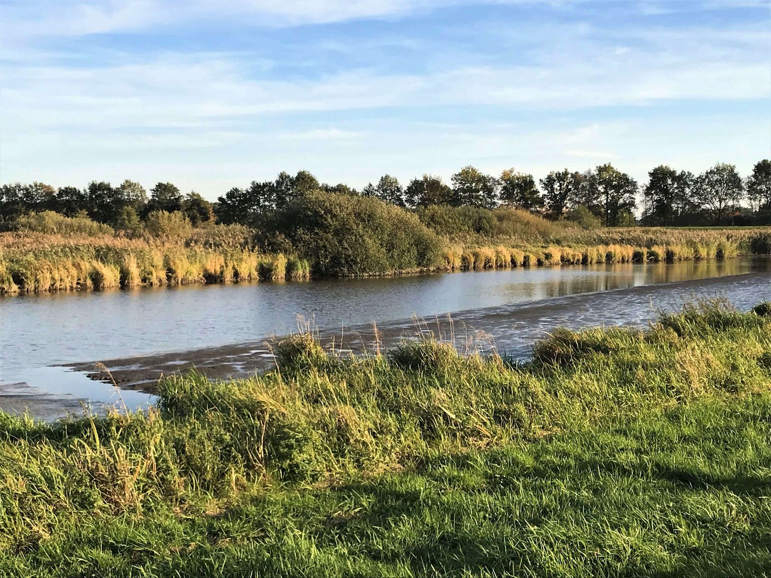 Das Bild zeigt den Fluss Aper Tief inmitten von Wiesen und Bäumen bei Ebbe.
