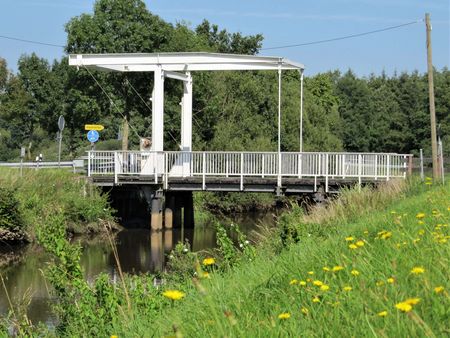 Das Bild zeigt eine weiße Fehnbrücke aus Stahl über einem Kanal. Im Hintergrund belaubte Bäume. Im Vordergrund eine Wiese mit Löwenzahnblüten.